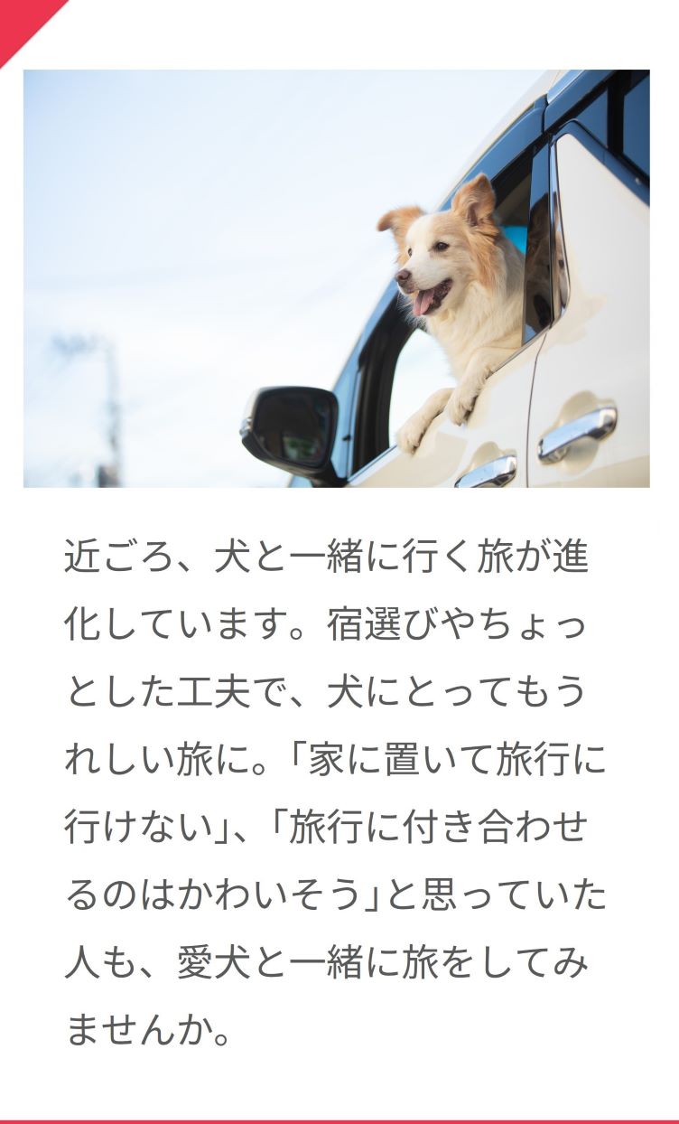 さあ、愛犬と旅に出よう